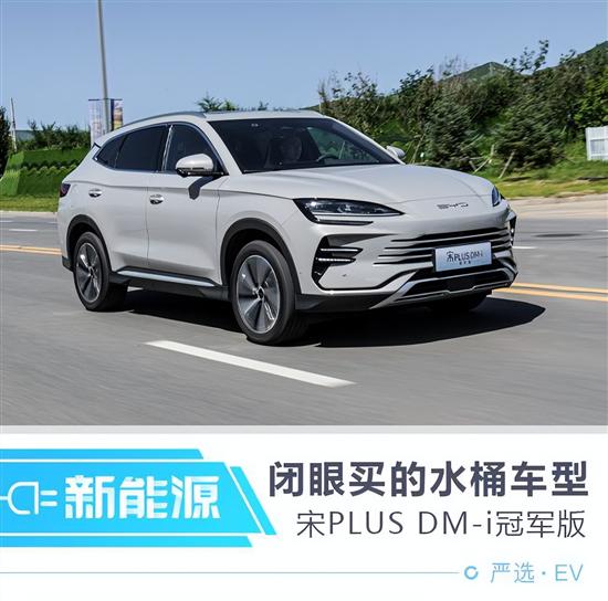 ˮͰSUV ԼPLUS DM-iھ