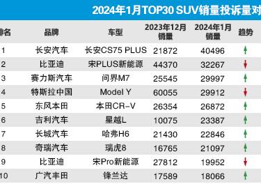 20241TOP30 SUVͶӦ